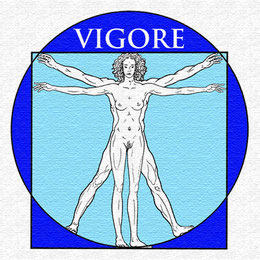 Vigore Logo